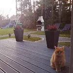 Mazurska Niwa Hébergement de vacances *