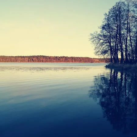Mazurska Niwa *