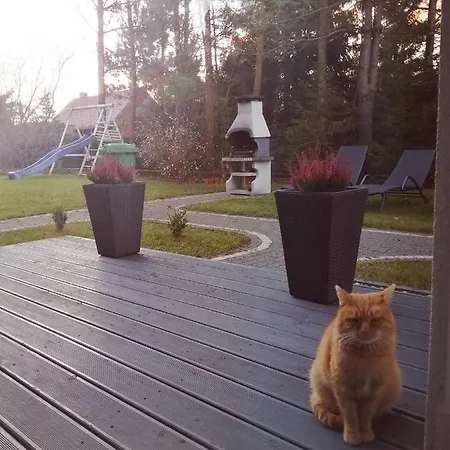 Mazurska Niwa Casa vacanze *